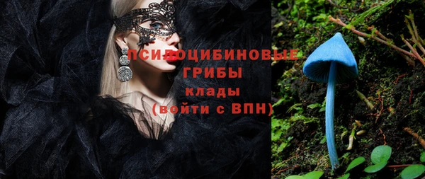 спайс Касимов