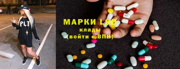 спайс Касимов