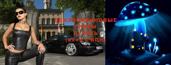 синтетический гашиш Карпинск