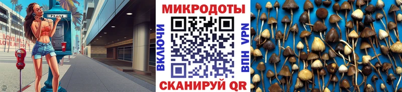 Купить  Бор  Галлюциногенные грибы прущие грибы 